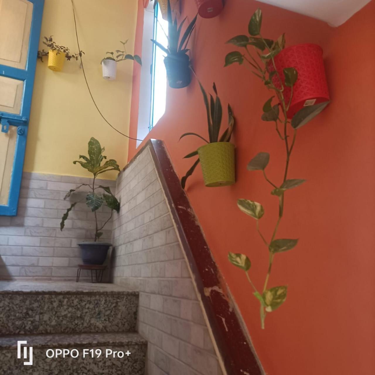 Home Stay Suraj Inn فاراناسي المظهر الخارجي الصورة